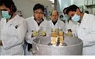 Iran-IAEA inspectors.jpg