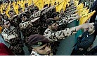 Hezbollah salute.jpg