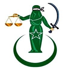 CAIR illustration.jpg